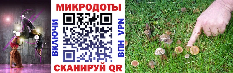 Галлюциногенные грибы прущие грибы  блэк спрут зеркало  Павловский Посад 